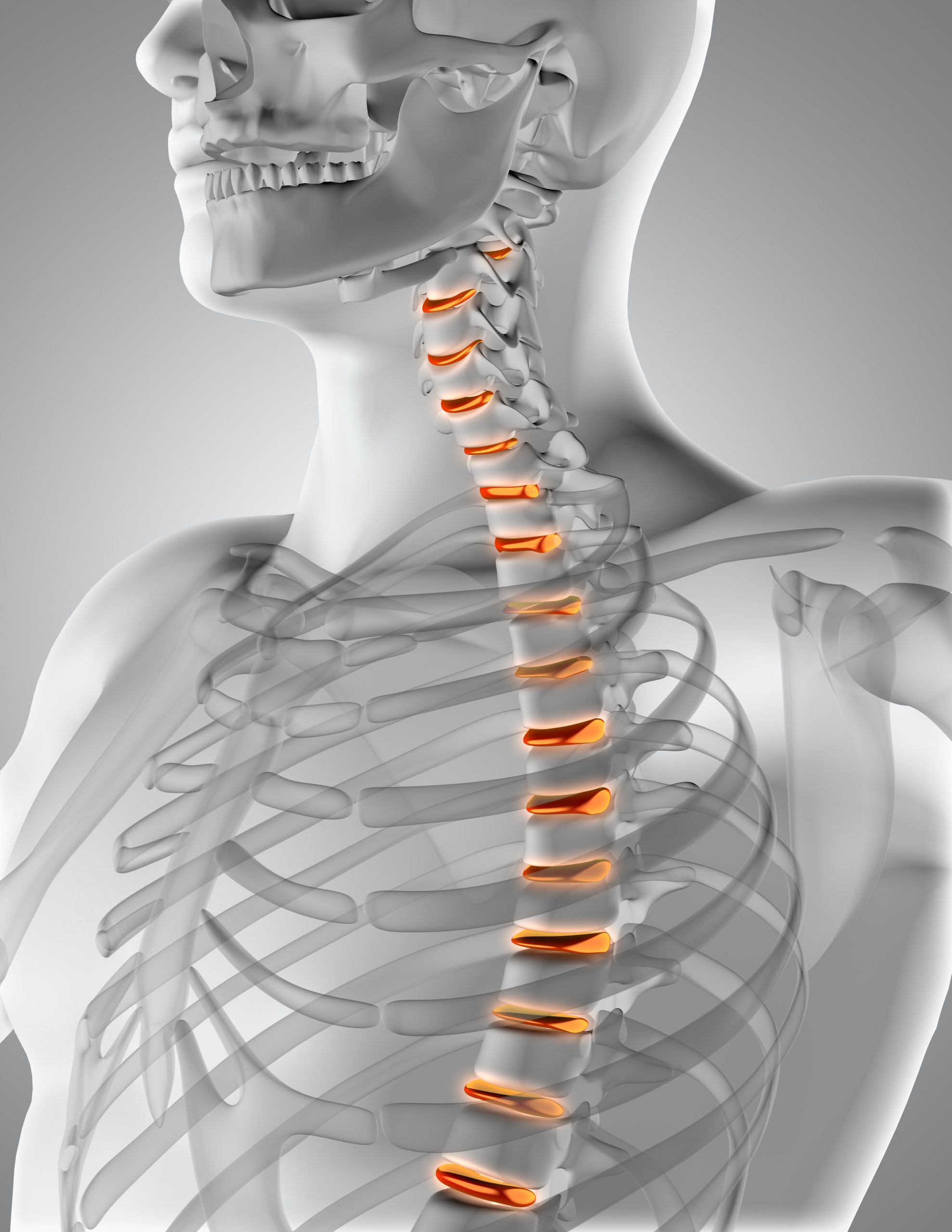 Attitudes toward the Integration of Radiographers into the First-Line Interpretation of Imaging Using the Red Dot System